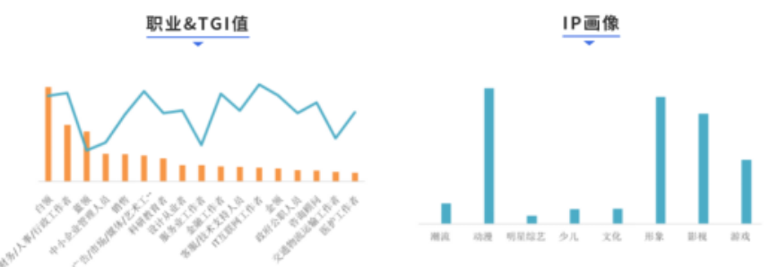 从职业属性看，白领、财务/人事/行政、蓝领占比较大，TGI数值较高的是白领、广告/市场/媒体/艺术工作者、金融、IT互联网工作者，此类群体为精准获客首选人群，可在2022进一步提升人群挖掘应用。
