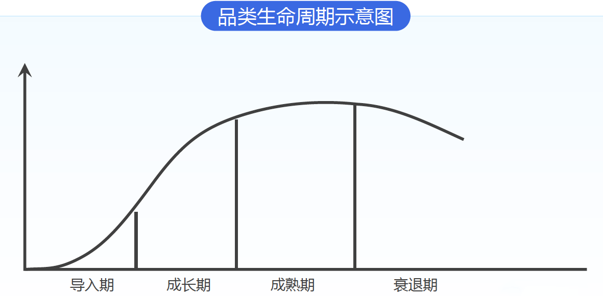 关注爆款周期